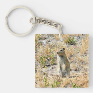 Llavero Perro Prairie en Yosemite, CA