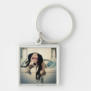Llavero Perro que ayuda hacia fuera con el lavado