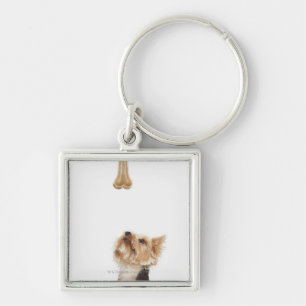 Llavero Perro que mira para arriba el hueso