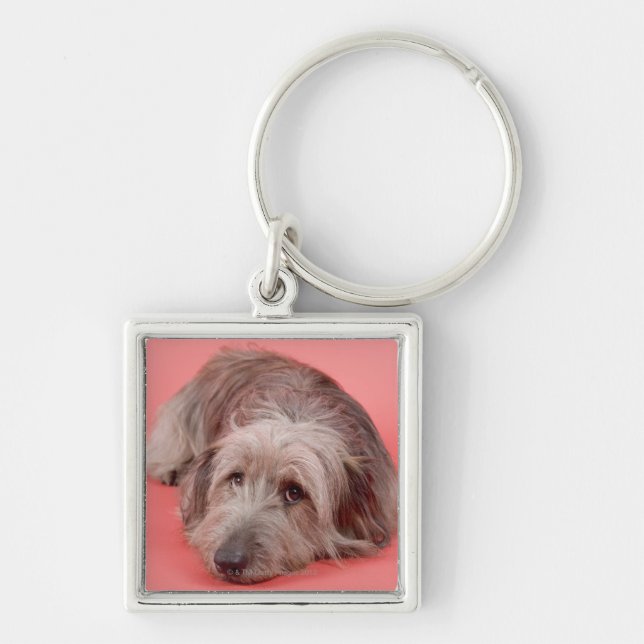 Llavero Perro que se acuesta (Frente)