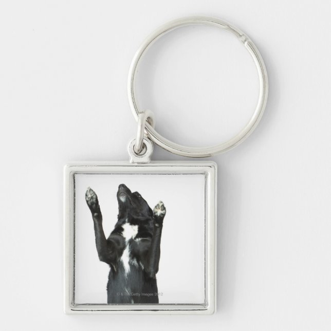 Llavero Perro que se sienta con las patas para arriba (Frente)