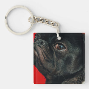 Llavero perro rojo