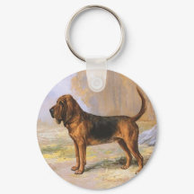 Perro sabueso