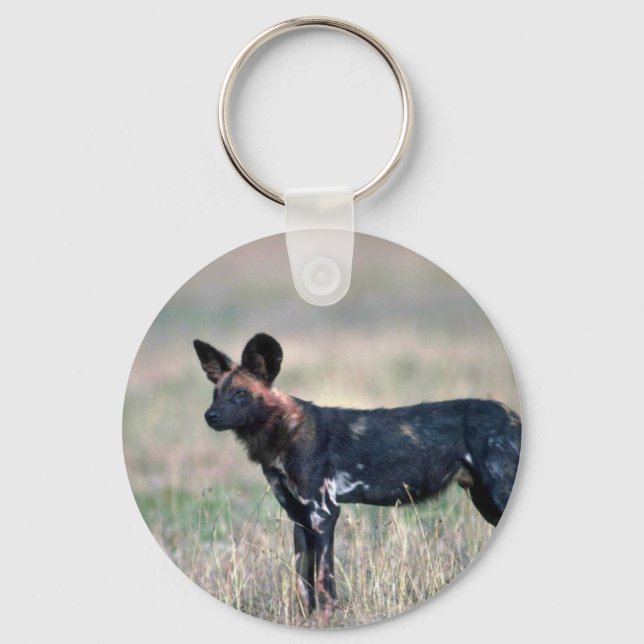 Llavero Perro salvaje africano (Anverso)