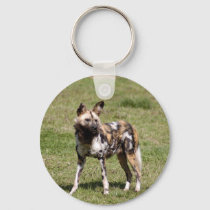 Llavero perro salvaje-africano-014