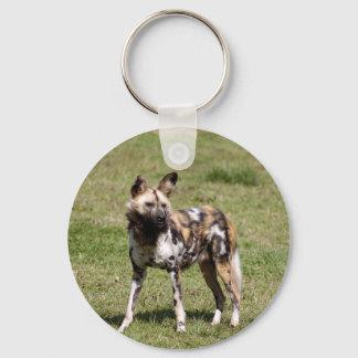 Llavero perro salvaje-africano-014