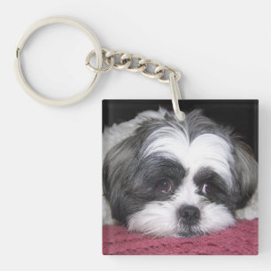 Llavero Perro Shih Tzu
