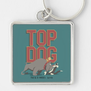 Llavero "Perro Top" Spike Guarding TWEETY™ de SYLVESTER™