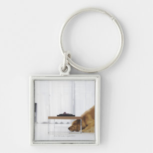 Llavero Perro y tabla