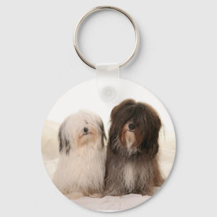 Llavero Perros