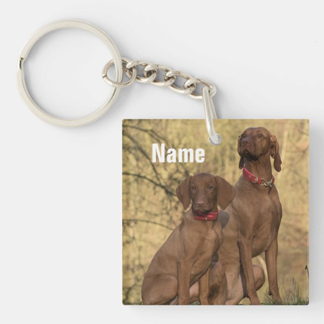 Llavero Perros de cola de Vizsla personalizados (Frente)