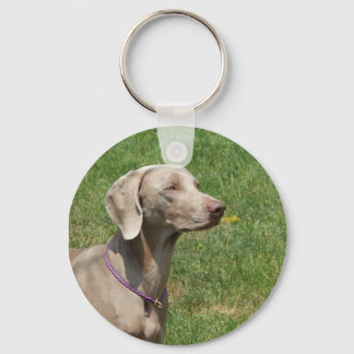 Llavero Perros hacen nuestras vidas enteras - Weimaraner