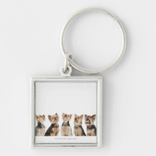 Llavero Perros idénticos que se sientan junto