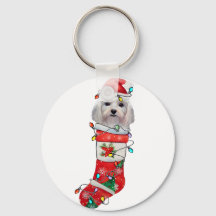 Perros malteses adorables, Navidades malteses navi