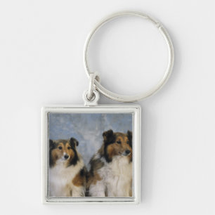 Llavero Perros pastor de Shetland