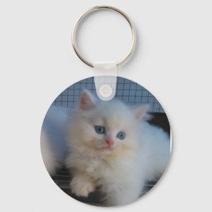 LLAVERO PERSA LINDO DEL GATITO DEL CAT DEL BLANCO