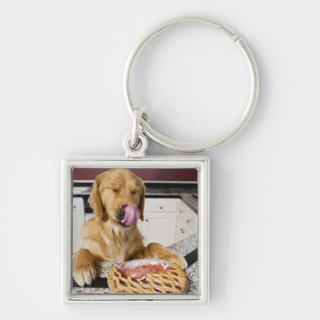 Llavero Persiga la lamedura de la nariz después de comer (Frente)