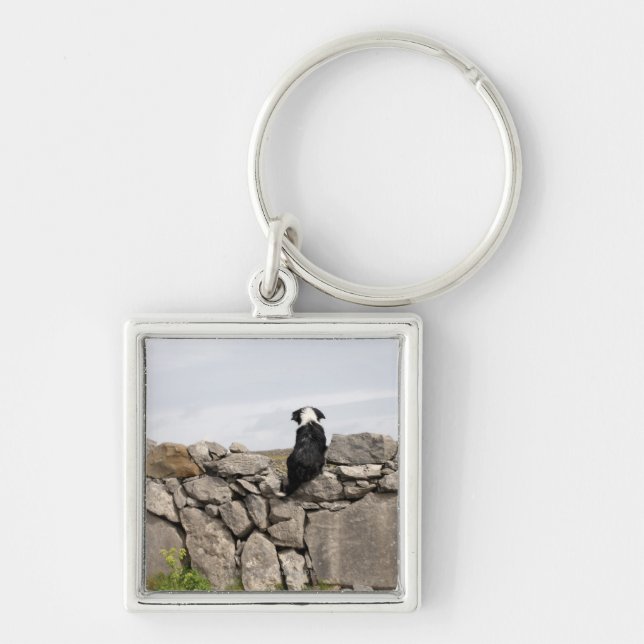 Llavero Persiga sentarse en una pared de piedra irlandesa (Frente)