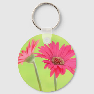 Llavero Personalizable Rosa Gerber Daisies en verde