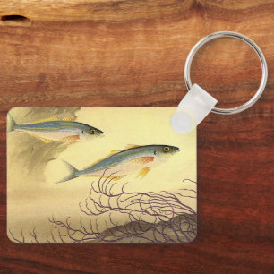 Llavero Pescado caballa nadando en el océano