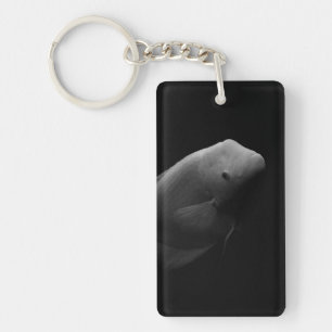 Llavero Pescado en tanque - Fotografía de arte blanco y ne