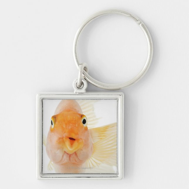 Llavero Pescados de agua dulce tropicales (Frente)