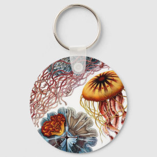 Llavero Pescados de jalea de Ernst Haeckel