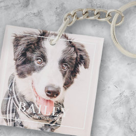 Llavero Pet Memorial Keepsake Forever In Our Hearts Photo