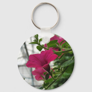 Llavero Petunia