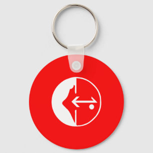 Llavero Pflp, bandera política de Colombia