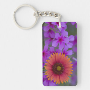 Llavero Phlox y manta india cerca de Devine Texas