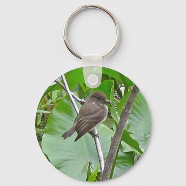 Llavero Phoebe Flycatcher Keychain (Anverso)