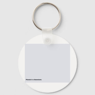 Llavero Phoenix en una nevada