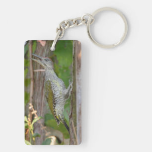 Llavero Picus Viridis - Grünspecht