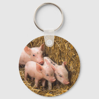 Llavero Piglets