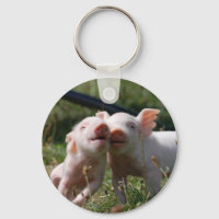 Piglets