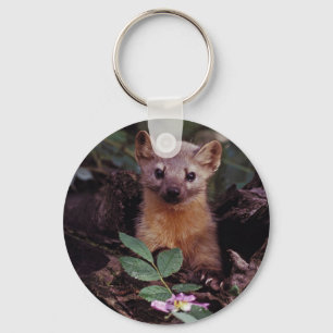 Llavero Pine Marten