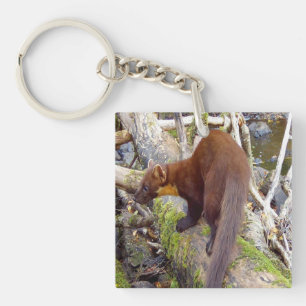 Llavero Pine Marten en Log