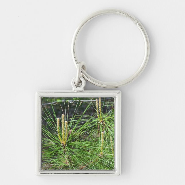 Llavero Pine Needles por Kenneth Yoncich (Frente)