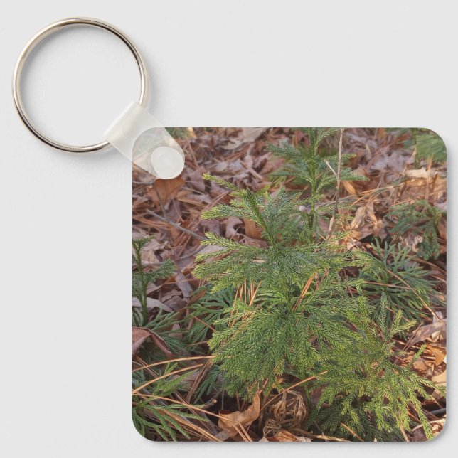 Llavero Pine Sapling Keychain Nature-Inspired Gift (Anverso)