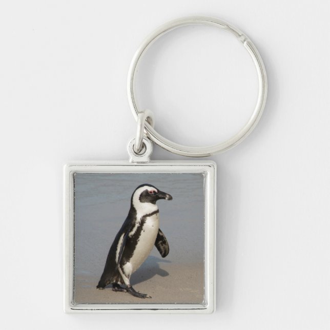 Llavero Pingüino Africano Caminando (Frente)