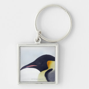 Llavero Pingüino de emperador, isla de la colina de la