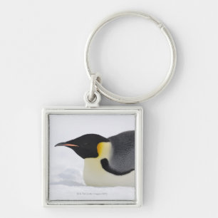 Llavero Pingüino de emperador, isla de la colina de la