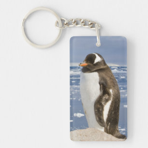 Llavero Pingüino de Gentoo