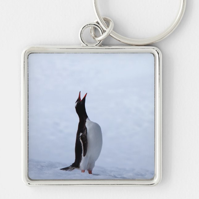 Llavero Pingüino de Gentoo (Frente)