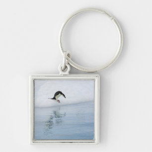 Llavero Pingüino de Gentoo (Pygoscelis Papua)