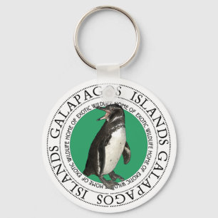 Llavero Pingüino de las Islas Galápagos