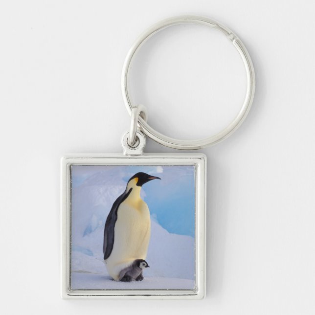 Llavero Pingüino Emperador | Aptenodytes (Frente)