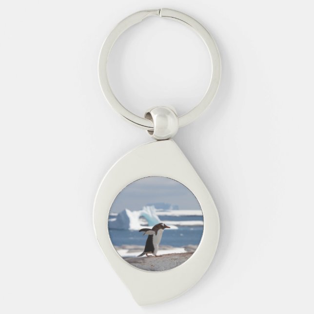 Llavero Pingüino frente a un arco de hielo (Anverso)