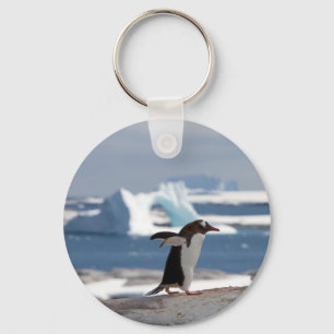 Llavero Pingüino frente a un arco de hielo